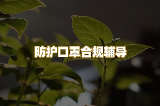 防护口罩合规辅导